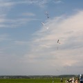 Wilga Cup 2012 IMG_3916